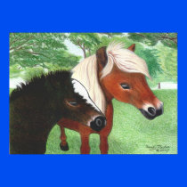 Miniature Horses