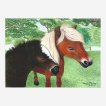 Miniature Horses