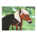 Miniature Horses posters