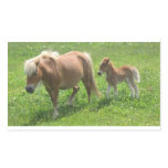 Miniature Mare and Foal Stickers