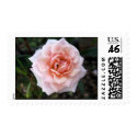 Miniature Pink Rose Stamp
