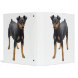 Miniature Pinscher Avery Binder