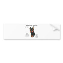 Miniature Pinscher (blk/rust) History Design bumper stickers by GreyWolfCreation Miniature Pinscher (blk/rust) History Design bumper stickers