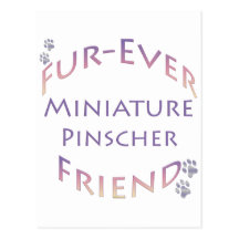 Miniature Pinscher Furever Post Cards