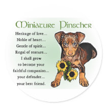 Miniature Pinscher Gifts stickers by DogsByDezign Miniature Pinscher Gifts stickers