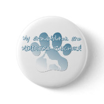 Miniature Pinscher Grandchildren buttons by MenagerieMayhem Miniature Pinscher Grandchildren buttons