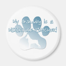 Miniature Pinscher Granddog Fridge Magnets