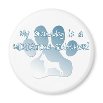 Miniature Pinscher Granddog magnets