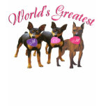 days, minature, pincher, dog, lovers, birthday,