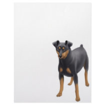 Miniature Pinscher Letterhead