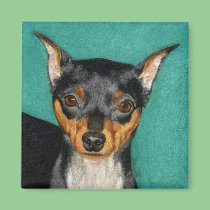Miniature Pinscher Magnet magnets