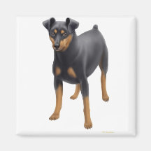 Miniature Pinscher Magnet
