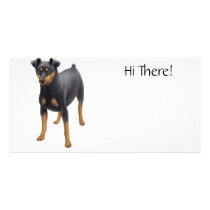 Miniature Pinscher Photo Card photo cards by twopurringcats Miniature Pinscher Photo Card photo cards