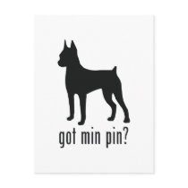 Miniature Pinscher Postcard