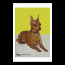 Miniature Pinscher posters