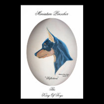 Miniature Pinscher posters by ArtByKimberley Miniature Pinscher posters