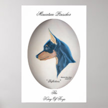 Miniature Pinscher Print