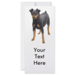 Miniature Pinscher Rack Card