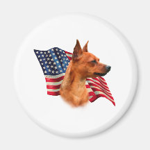 Miniature Pinscher (red) Flag Magnets