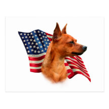 Miniature Pinscher (red) Flag Post Cards
