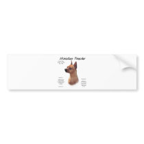 Miniature Pinscher (red) History Design bumper stickers
