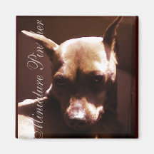Miniature Pinscher Refrigerator Magnets