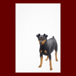Miniature Pinscher Stationery stationery