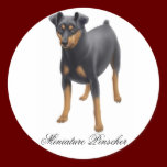 Miniature Pinscher Sticker stickers