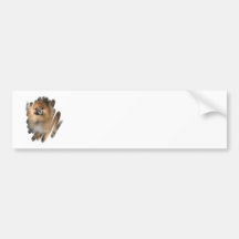 Miniature Pomeranian Bumper Sticker