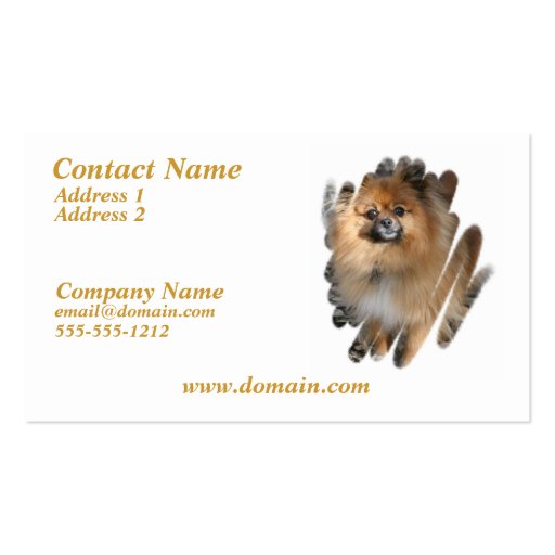 Miniature Pomeranian Dog Business Card (front side)