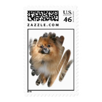 Miniature Pomeranian Postage Stamp