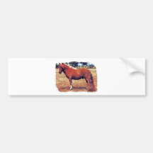 Miniature Pony Bumper Stickers