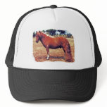 Miniature Pony hats