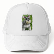 Miniature Schnauzer Baseball Hat