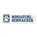 Miniature Schnauzer Blue bumper stickers by GenuineDogOwner Miniature Schnauzer Blue bumper stickers