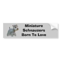 Miniature Schnauzer Bumper Sticker