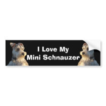 Miniature Schnauzer Bumper Sticker