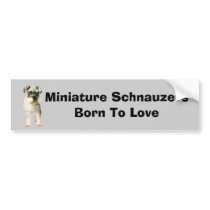 Miniature Schnauzer Bumper Sticker