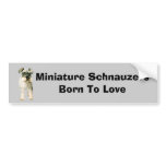 Miniature Schnauzer Bumper Sticker