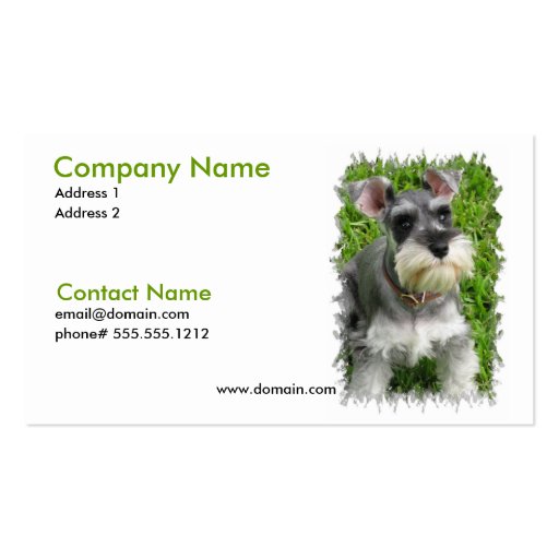 Miniature Schnauzer Business Card