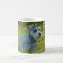 Miniature Schnauzer Mug