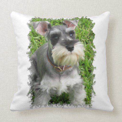 miniature schnauzer pillow