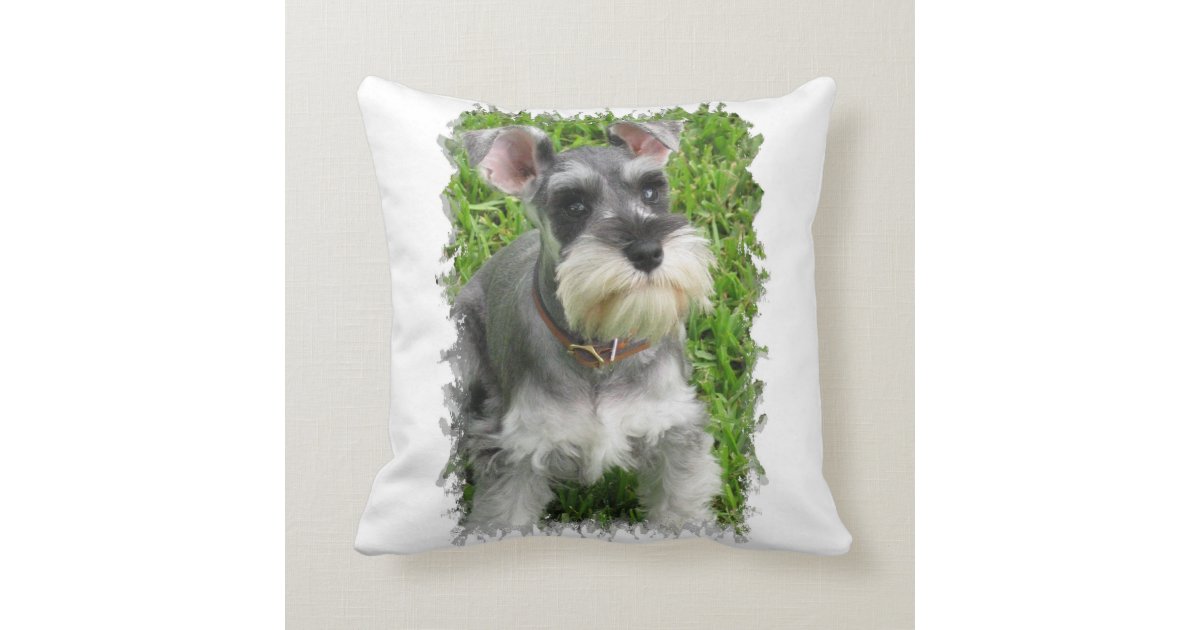 miniature schnauzer pillow