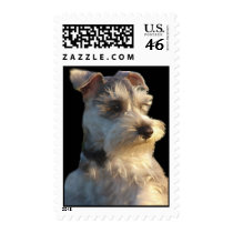 Miniature Schnauzer Postage