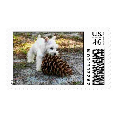 miniature schnauzer postage by ImprovingAmerica