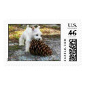 miniature schnauzer postage