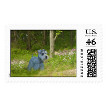 Miniature Schnauzer Postage