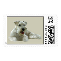Miniature Schnauzer Postage Stamp
