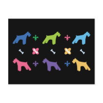 Miniature Schnauzer Post Card