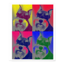 Miniature Schnauzer posters